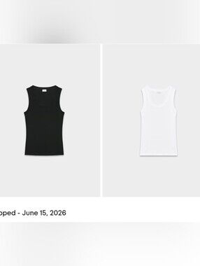 Aritzia babaton Busy Tank XL 2/$40